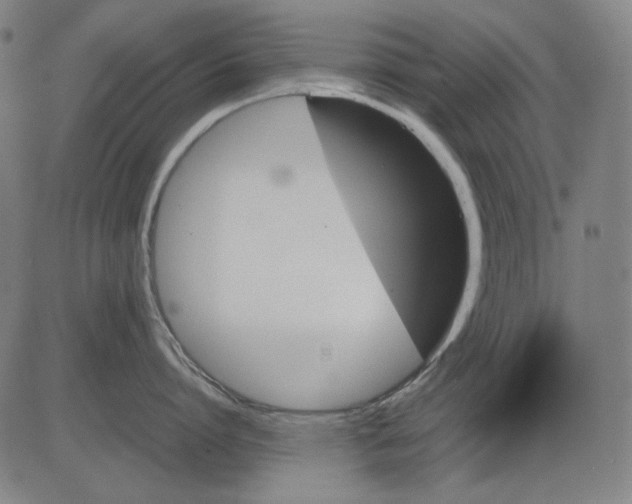 X0000081470864200702092338