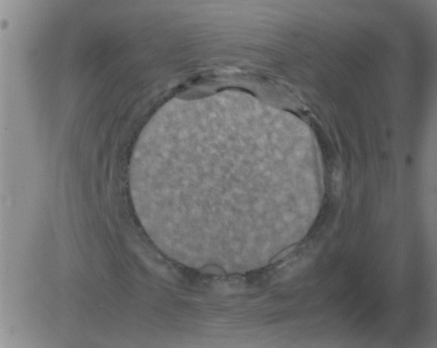 X0000081470865200702092337