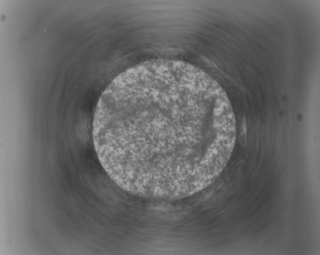 X0000081470866200702092337