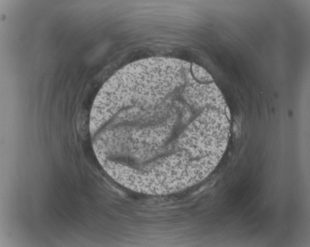 X0000081470867200702092337