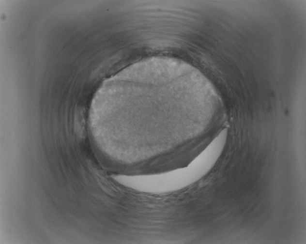 X0000081470868200702092337