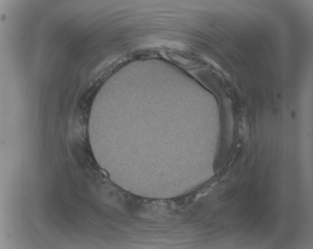 X0000081470869200702092337