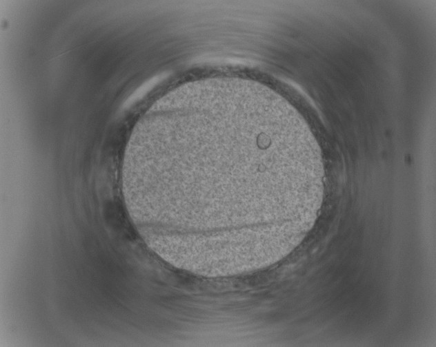 X0000081470871200702092337