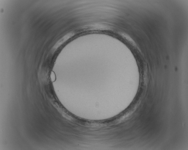 X0000081470873200702092337