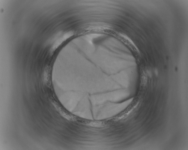 X0000081470874200702092337