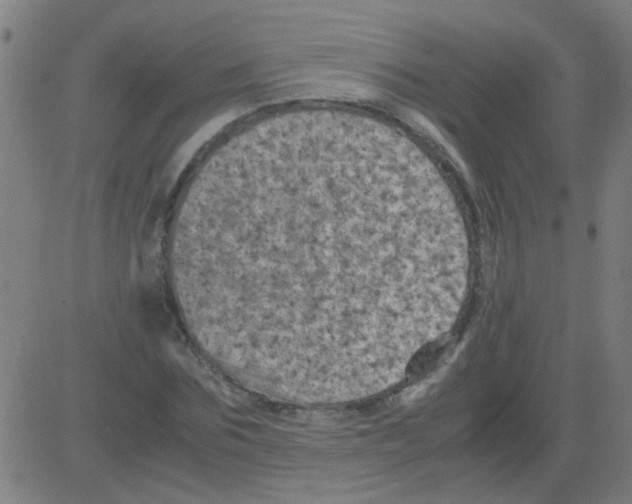 X0000081470875200702092337