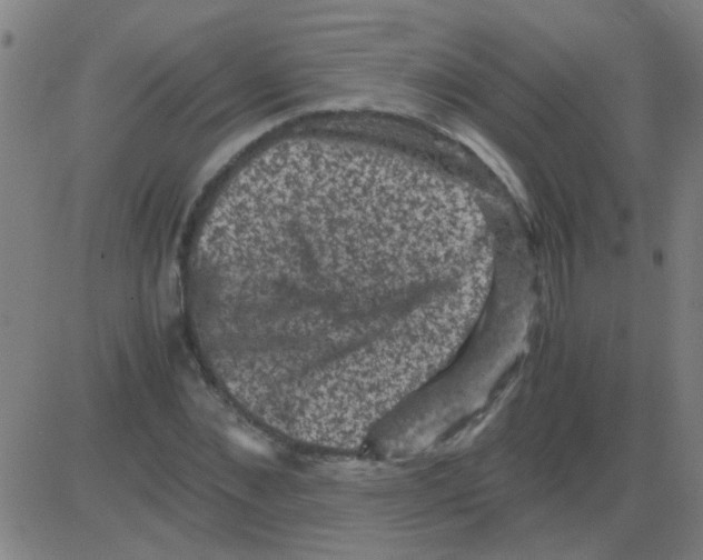 X0000081470876200702092337