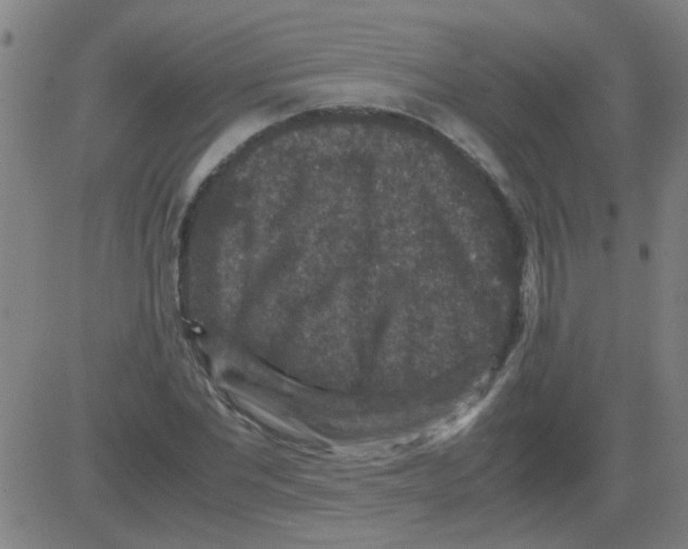 X0000081470877200702092337