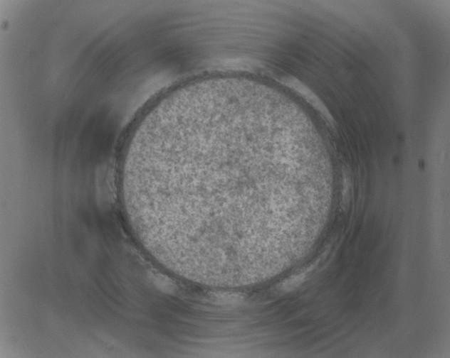 X0000081470878200702092337