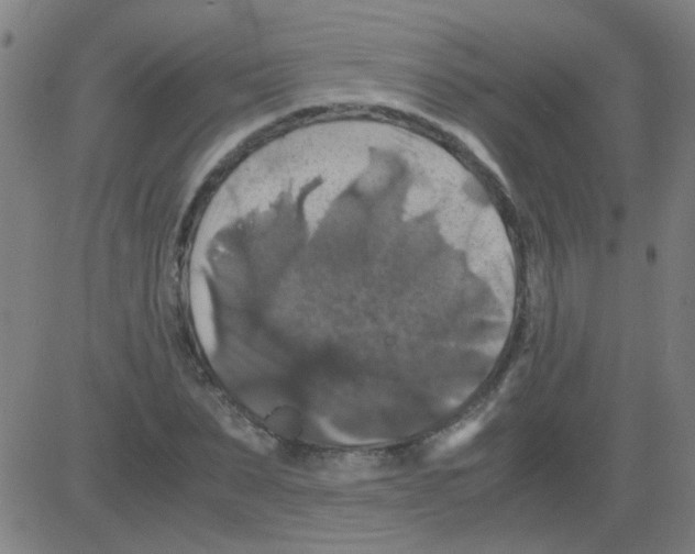 X0000081470879200702092337