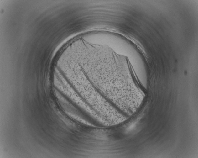 X0000081470880200702092337