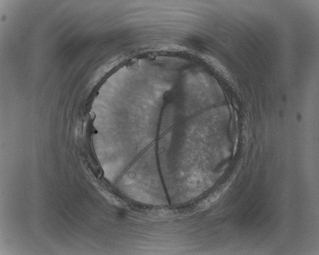 X0000081470881200702092337