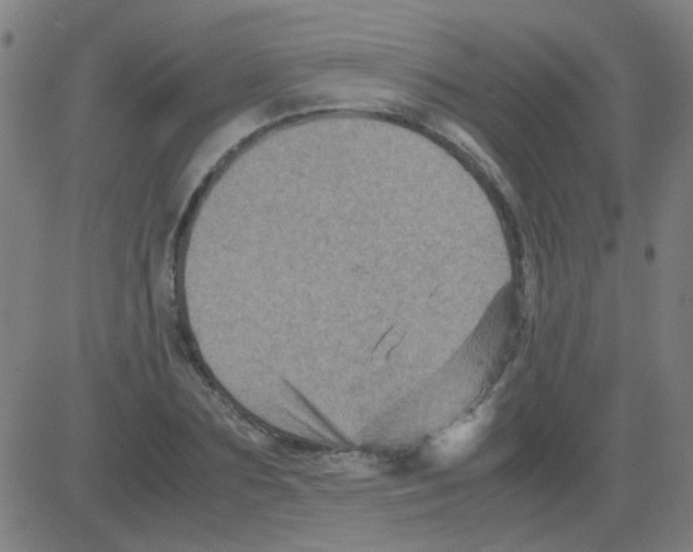 X0000081470883200702092337