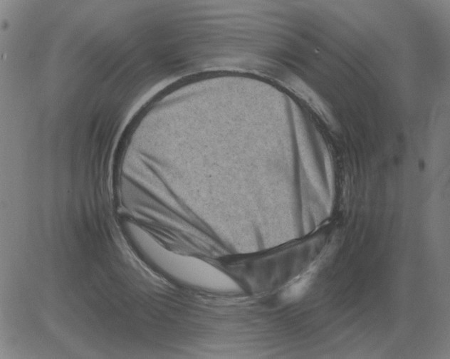 X0000081470884200702092337