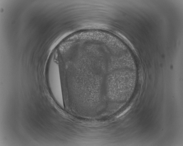 X0000081470885200702092337