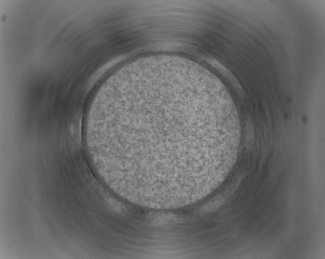 X0000081470886200702092337