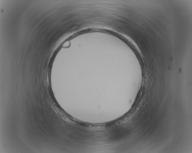 X0000081470887200702092337