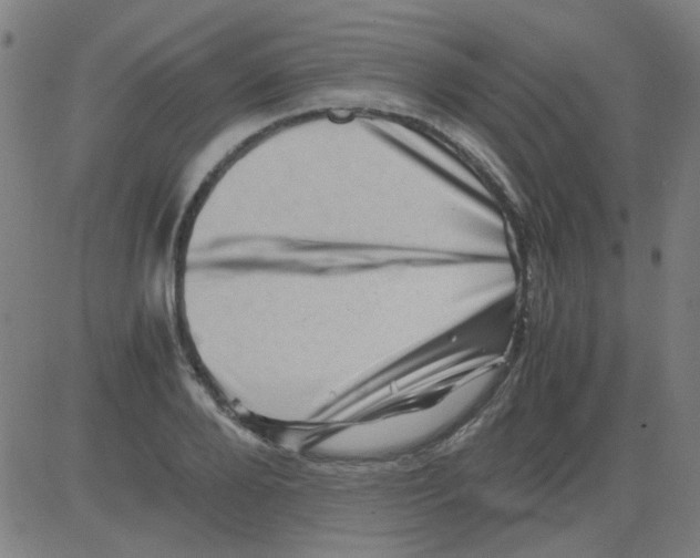 X0000081470888200702092337