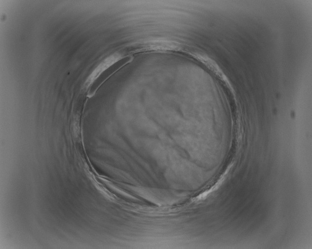 X0000081470889200702092337