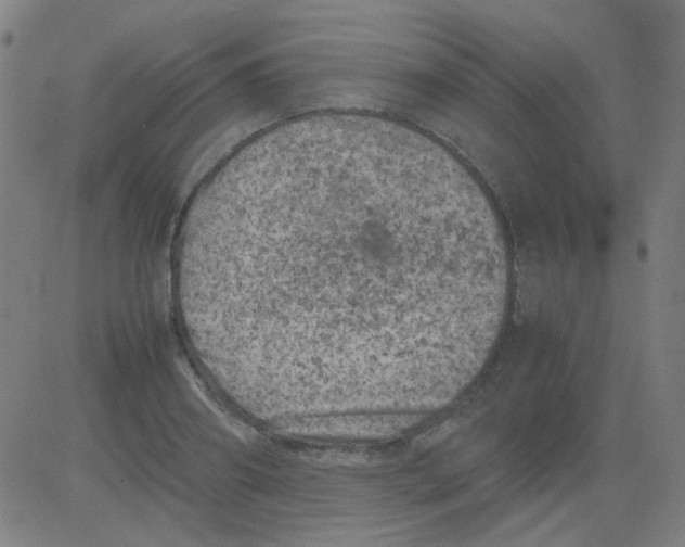 X0000081470890200702092337