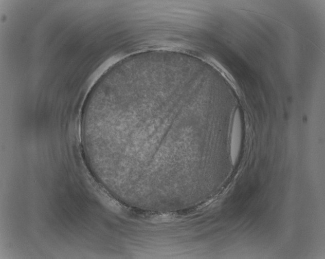 X0000081470891200702092337