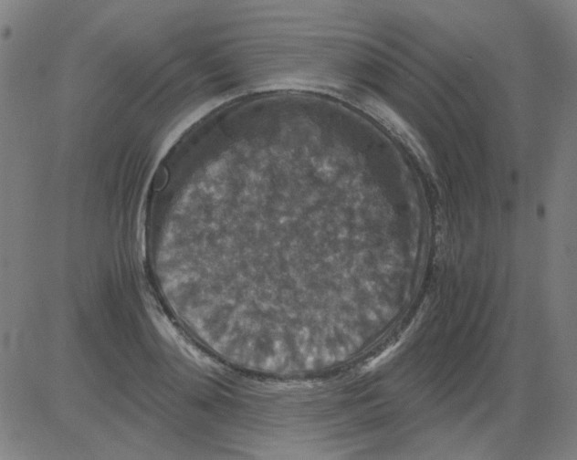 X0000081470892200702092337