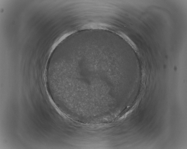 X0000081470893200702092337