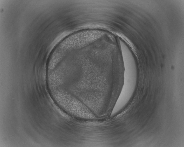 X0000081470894200702092337