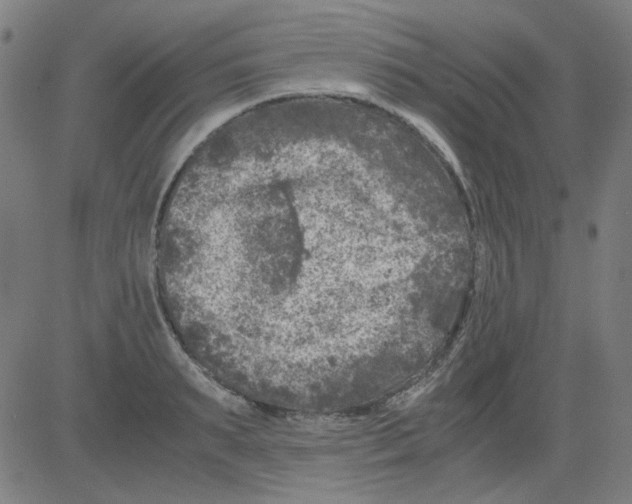 X0000081470895200702092337