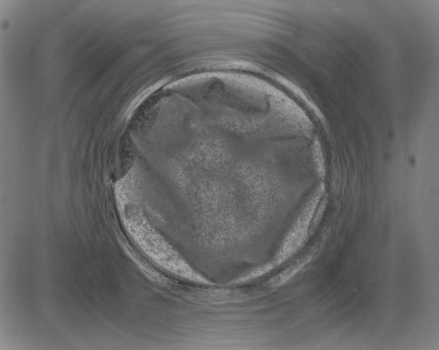 X0000081470897200702092337