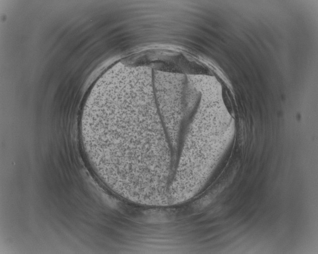 X0000081470898200702092337