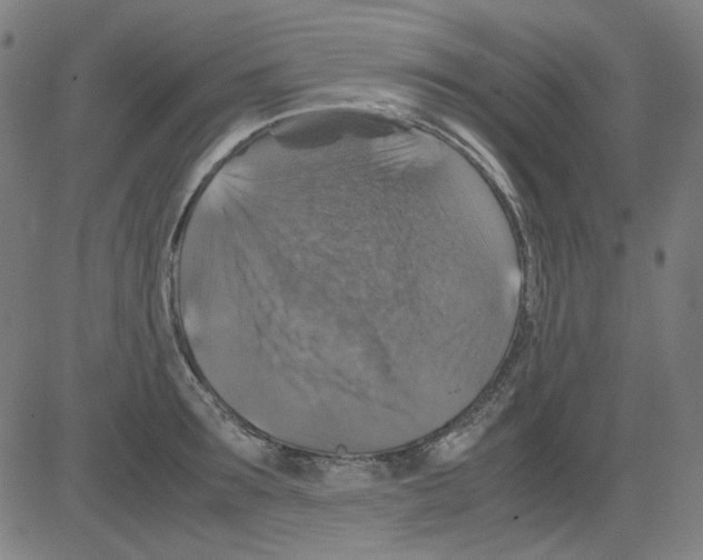 X0000081470899200702092337