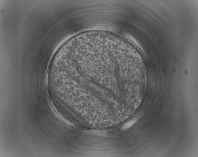 X0000081470900200702092337