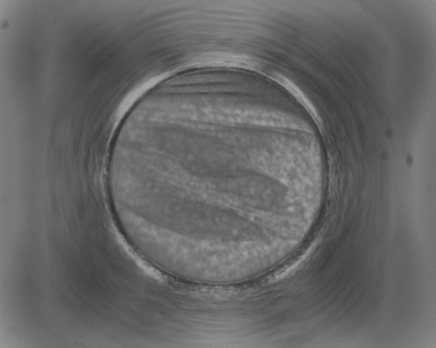 X0000081470901200702092337