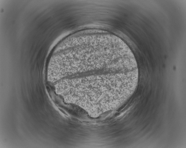 X0000081470902200702092337