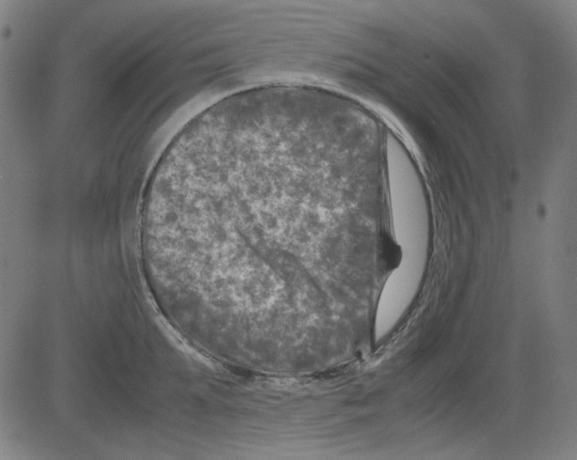 X0000081470903200702092337