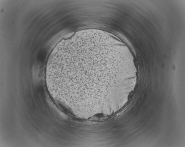 X0000081470906200702092337