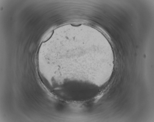 X0000081470907200702092337