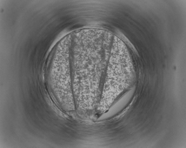 X0000081470908200702092337