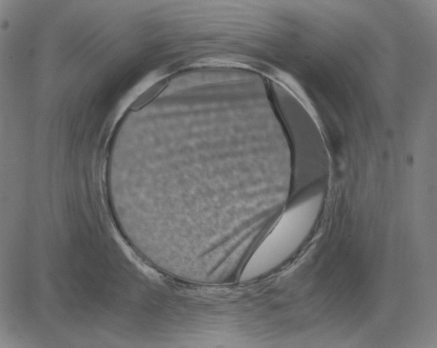 X0000081470909200702092337