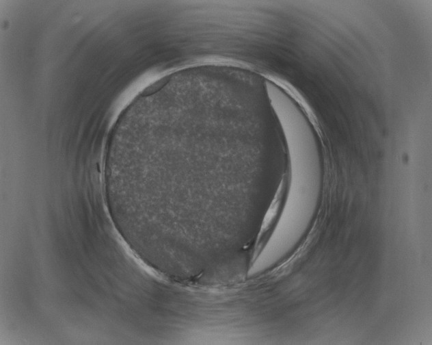 X0000081470910200702092337