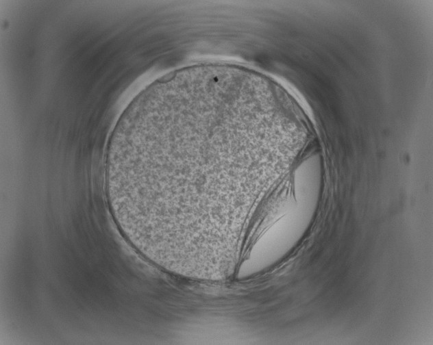 X0000081470911200702092337