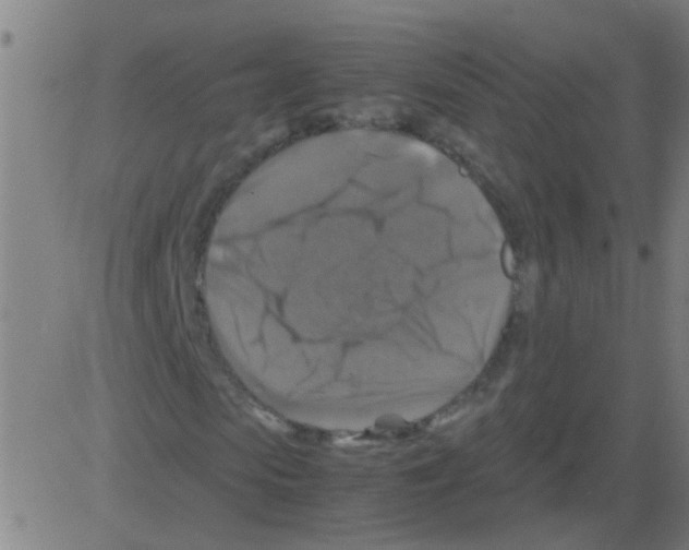 X0000081470913200702092336