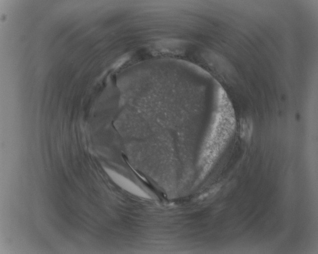 X0000081470915200702092336