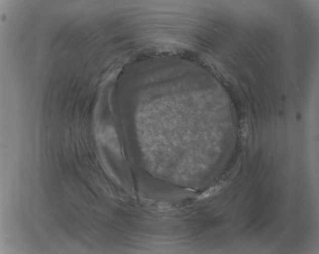 X0000081470916200702092336