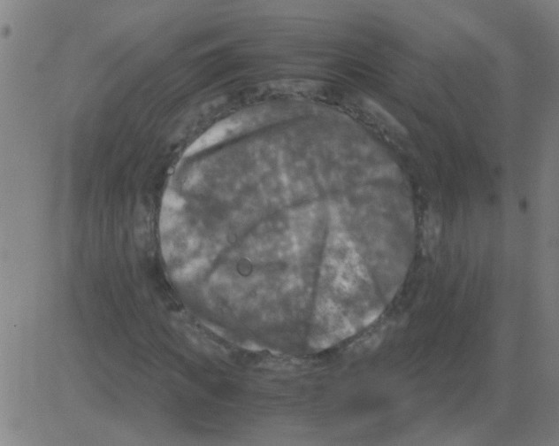 X0000081470917200702092336