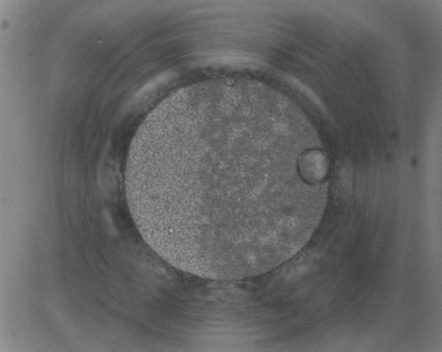 X0000081470918200702092336