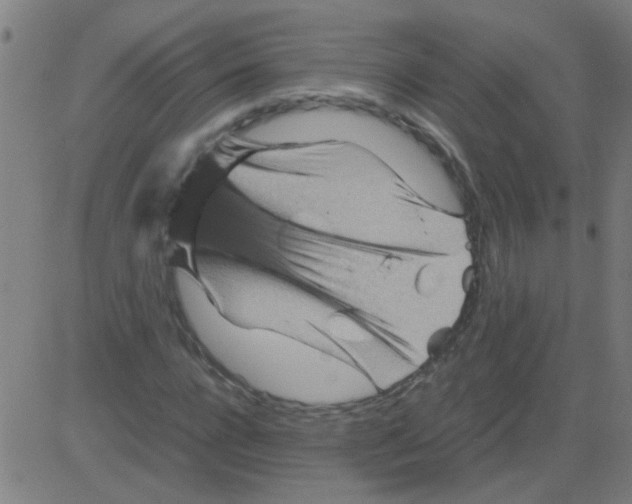 X0000081470920200702092336