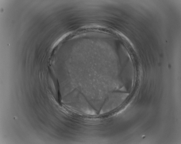 X0000081470921200702092336