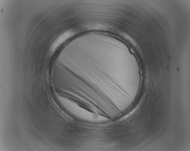 X0000081470922200702092336